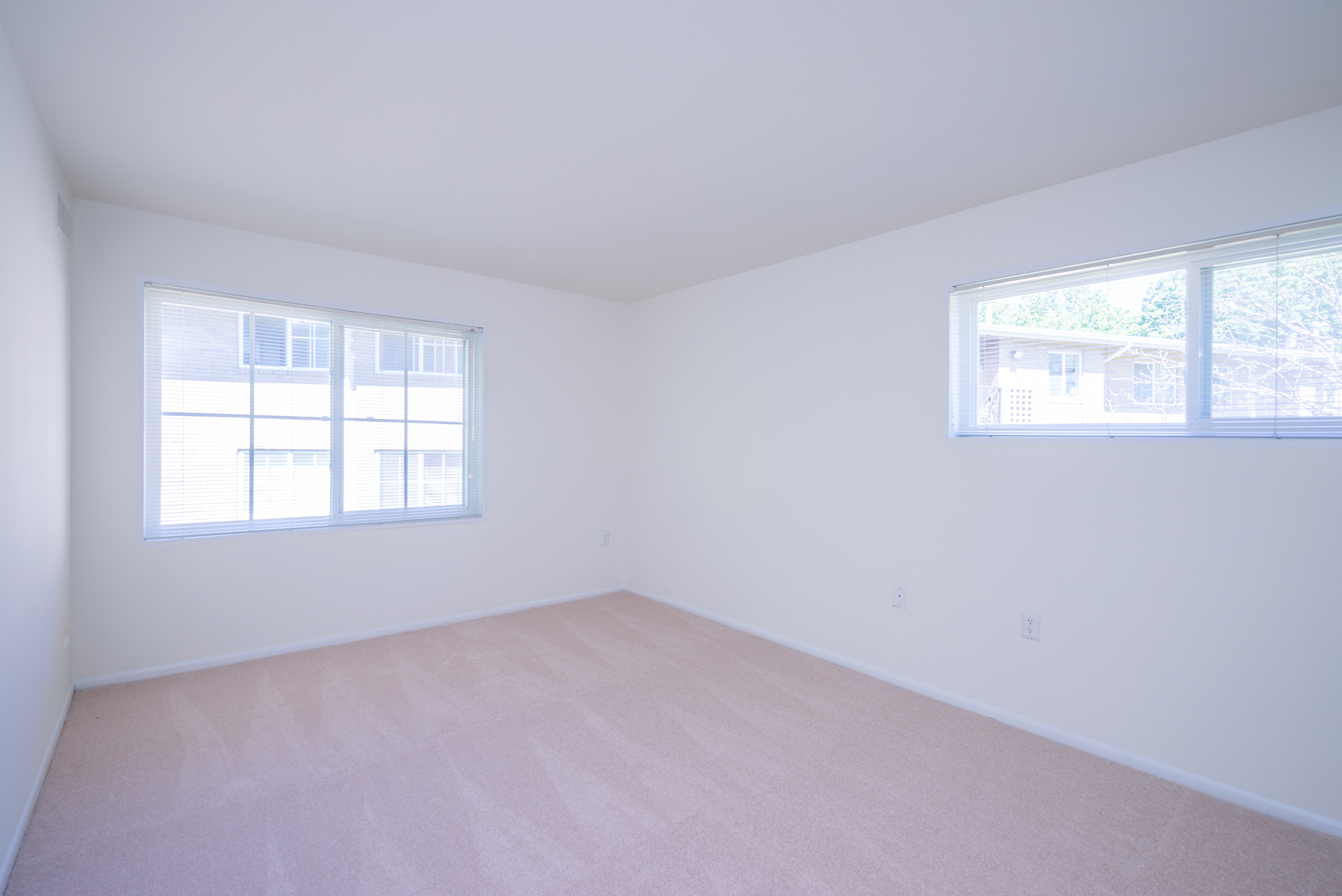 Plush Wall-to-Wall Carpeting Plush Wall-to-Wall Carpeting